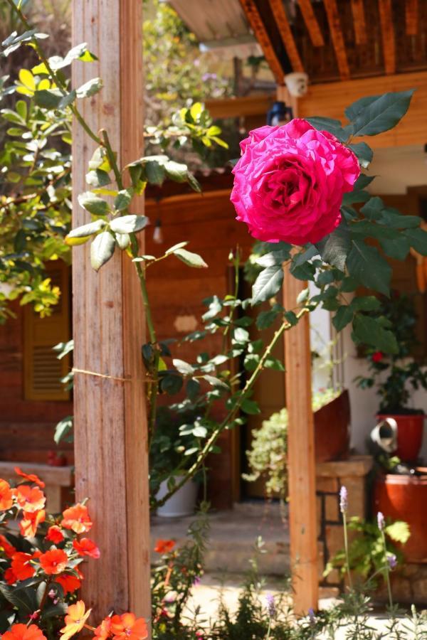 Soul Pnb Homestay Đà Lạt Exterior foto