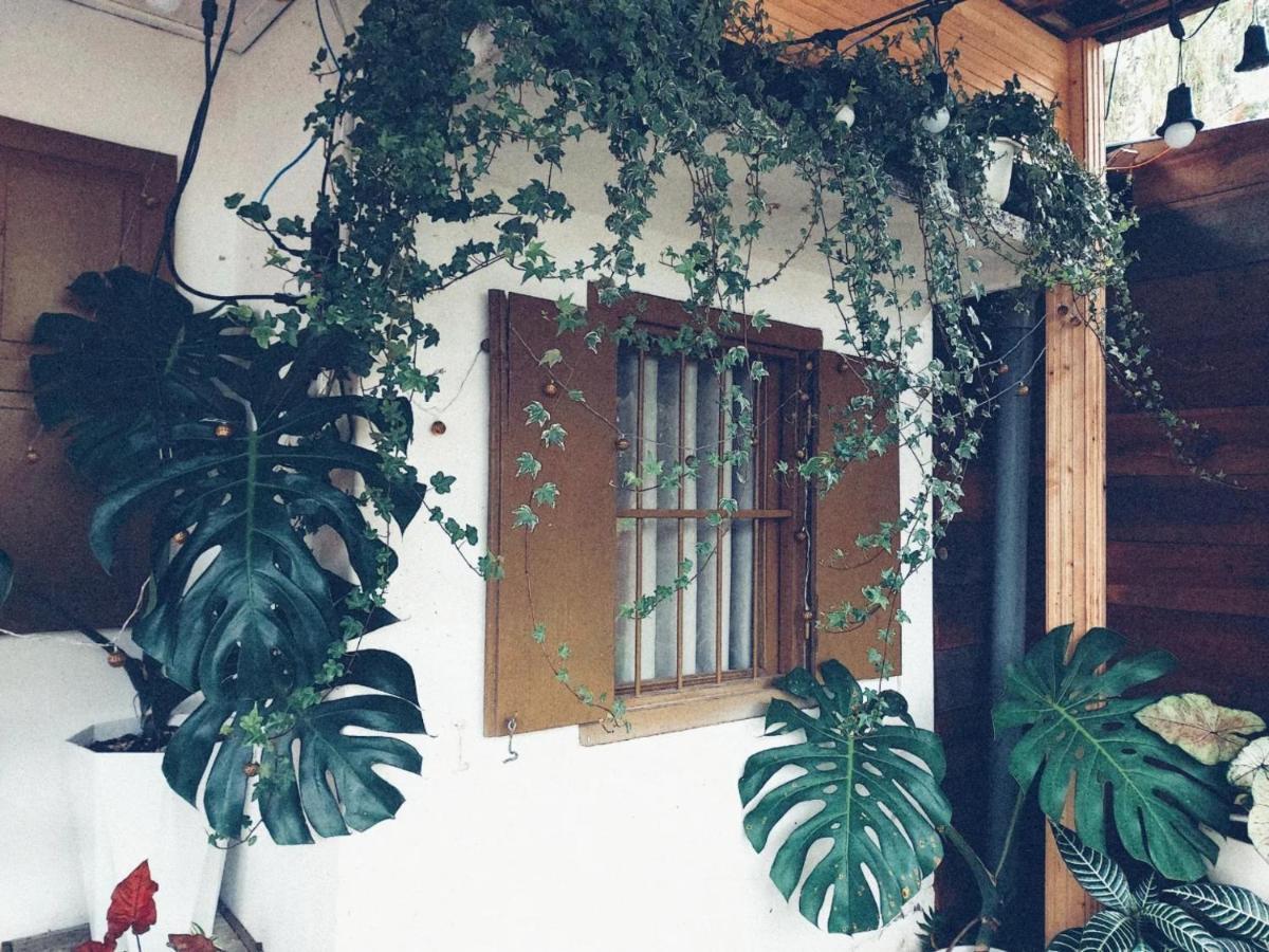 Am Bung Homestay Đà Lạt Exterior foto